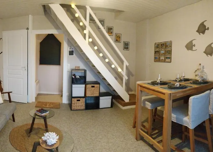 Les Jacinthes * Berck